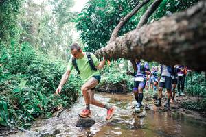 BIB: 
                            <button type="button" onclick="openModal(25375181)" class="btn btn-primary btn-sm float-right btn-popup" data-toggle="modal" data-target=".modal-high-quality">
                        <i class="fas fa-shopping-cart"></i> Add to Cart
                    </button>
                                            <button type="button" onclick="isThisMe(25375181, true)" class="btn btn-success btn-sm float-right btn-popup btn-isme hidden" data-toggle="tooltip" data-placement="bottom" title="นี่คือรูปของคุณใช่ไหม คลิกที่นี่เพื่อเอาเข้าอัลบั้ม">
                        <i class="fas fa-plus"></i> Add to album
                    </button>
                    <button type="button" onclick="isThisMe(25375181, false)" class="btn btn-warning btn-sm float-right btn-popup btn-isnotme hidden">
                        <i class="fas fa-ban"></i> Remove from album
                    </button>